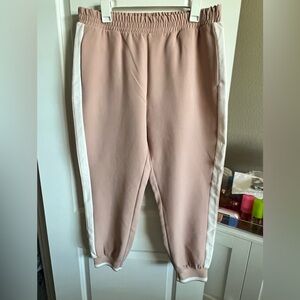 Zara Blush Pink Jogger Pants